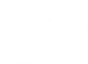 Sailfish